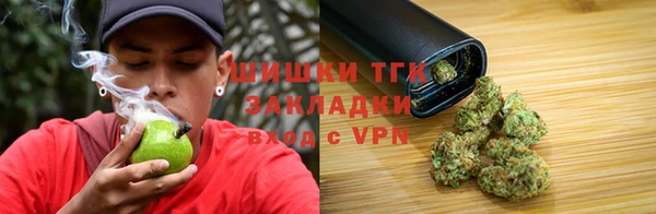 шишки Алексеевка