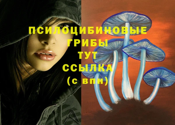 кокаин перу Новодвинск