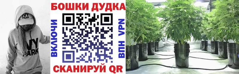 где купить   Арамиль  Каннабис White Widow 
